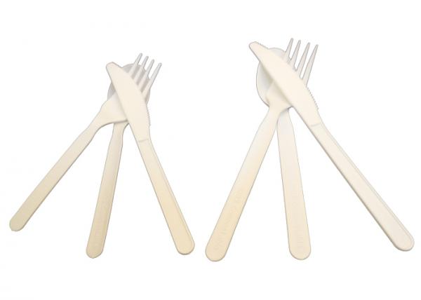 100% Compostable PLA Eco Friendly Cutlery