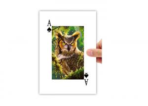 Cheap 5.6x8.7cm Lenticular Printing 3D Poker Card 4c On Backside Eco - Friendly for sale