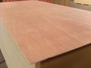 Cheap Poplar Core Commercial Plywood Bintangor B/BB Face 2 Time Hot Press Processing for sale