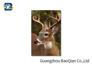Cheap Animal Lenticular Greeting Cards , Deer 3D Greeting Cards For Christmas / New Year for sale