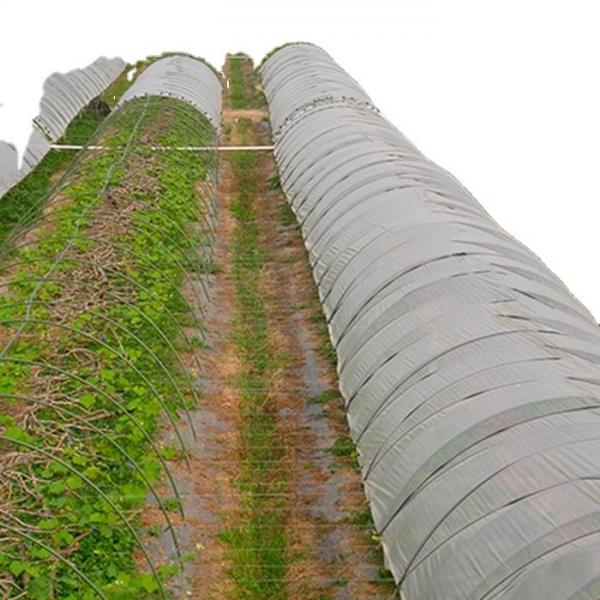 Quality 70gsm Sunshine Spunbond Agricultural Ground Cover Garden Non Woven Fabric wholesale