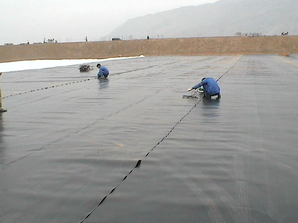 Cheap HDPE geomembrane pond liner with the best price for sale