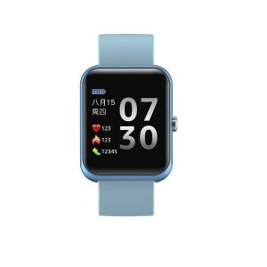 Cheap Blood Pressure 1.3" LCD Business Movement Smartwatch 170mAh for sale