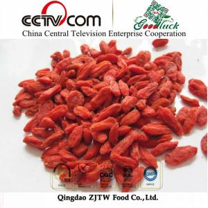 China Organic Dried Goji Berry For Kidney Health on sale
