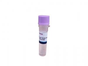 China Sample Nucleic Acid Release Agent DNA Isolation Kits Nucleic Acid Extraction on sale