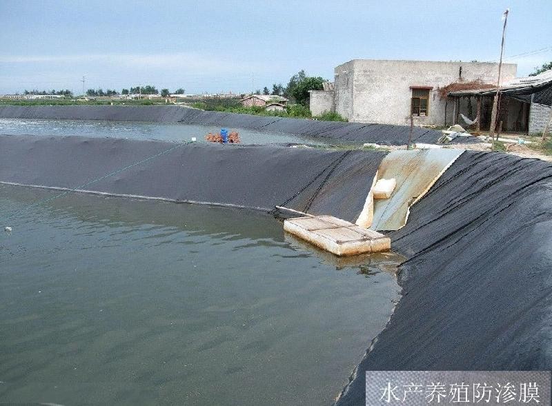 Cheap 0.65mm hdpe smooth Geomembrane for sale