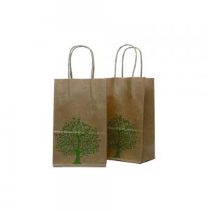 Laminated 250g Printed Paper Bags with Handle Custom Printed Recyclable