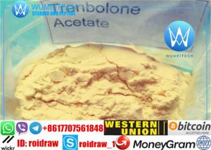Trenbolone acetate steroid profile