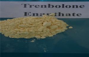 Trenbolone dosage cc