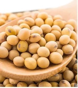 Cheap NON-GMO SoyaBeans Seeds for sale