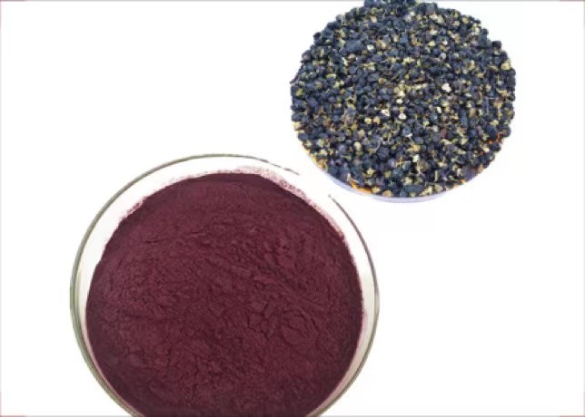China Organic Black Wolfberry Black Goji Berry Powder For Heath Care on sale