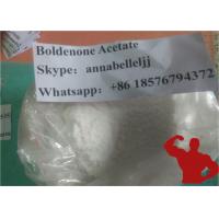 Boldenone undecylenate distributor