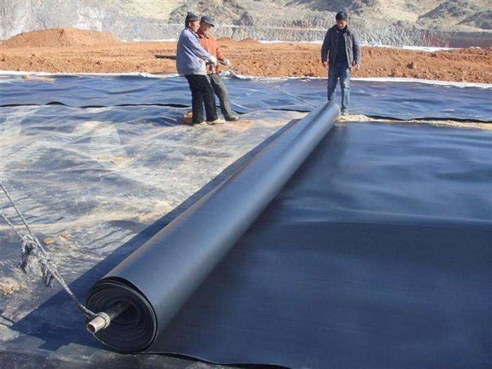 Buy cheap 0.5mm Impermeable Geomembrane Liner High Density Polyethylene from wholesalers