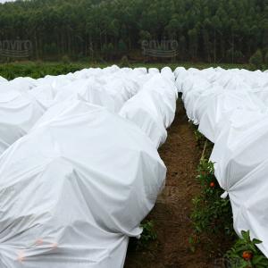 100% Polypropylene Agriculture Greenhouse Anti Insect Net Non Woven Fabric