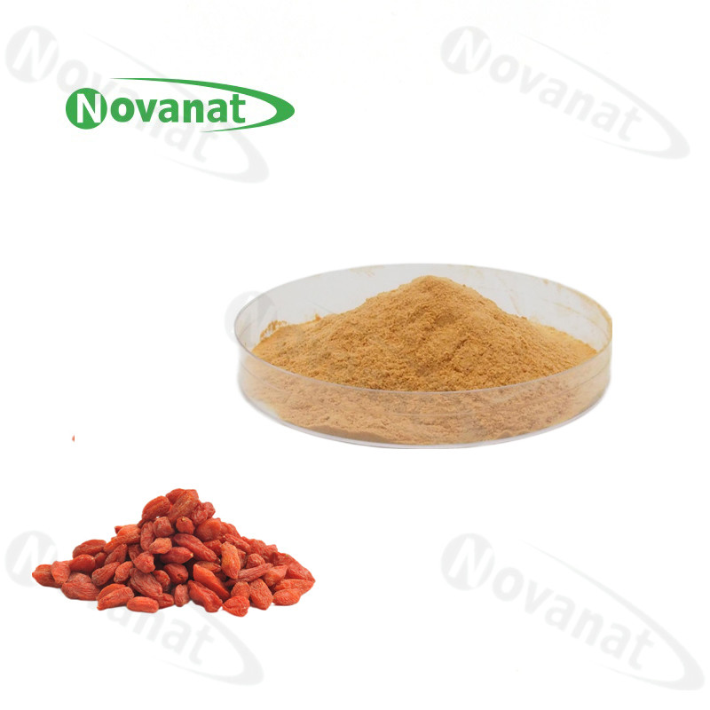 China Water Soluble lycium berry Extract Powder 20% - 50% Polysaccharides / Clean Label on sale