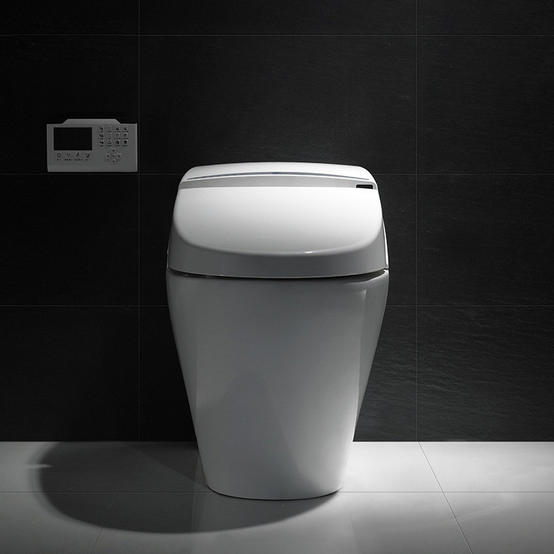 Ceramic intelligent toilet with electronic bidet toilet seat