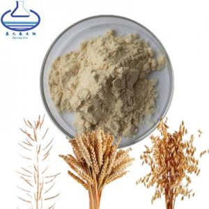 Cheap Food Grade Avena Sativa Extract Powder Oat Extract Oat Seed Powder for sale