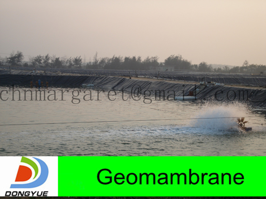Cheap shrimping farm liners geomembrane hdpe for sale