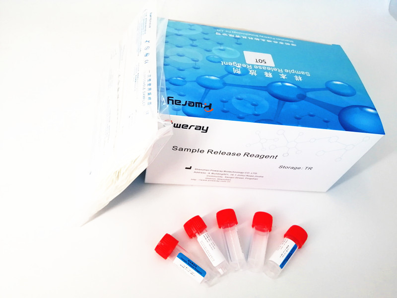 China Nucleic Acid DNA RNA Extraction With FSC Certification on sale