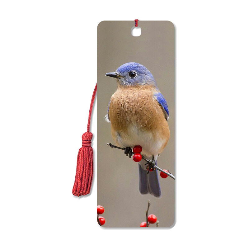 Cheap Bird Design 3D Animal Bookmarks With Two Side CMYK Printing / Personalised Bookmarks For Schools for sale