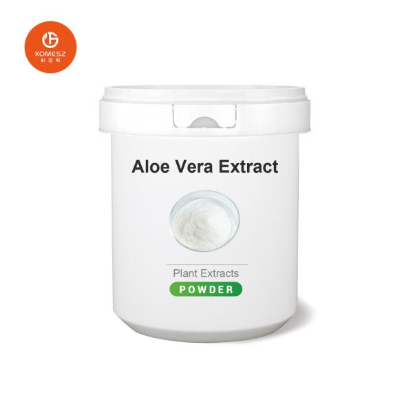 Pure and Safe Aloe Vera Extract Powder for Medicinal Purposes