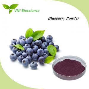 Cheap Anti Aging Fruit Vegetable Powder Supplement Soluble Blueberry Fruit Powder for sale