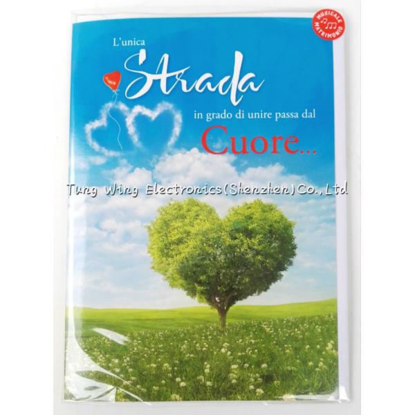 Personalized Musical greeting card with sound , sound greeting card