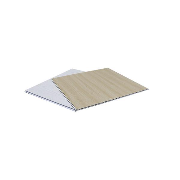 House Building Materials Interior Wall Decorative Panels 40cm 60cm PVC Wall Panel