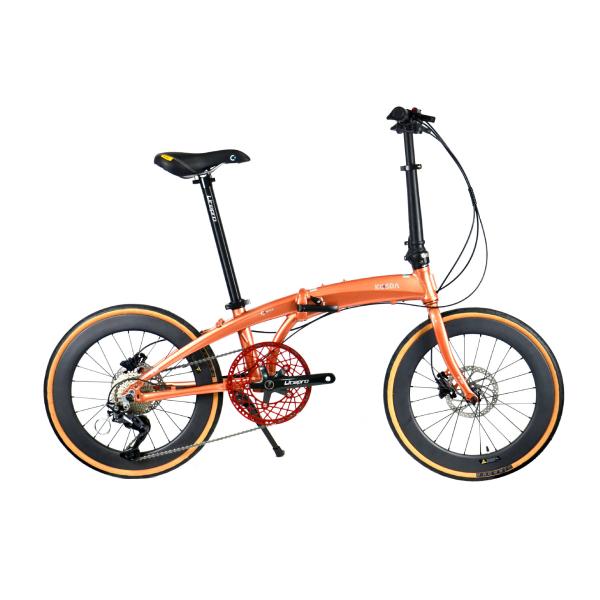Customized Folding Bicycle 20 Inch 7 Speed Gear Smallest  Full Coverage