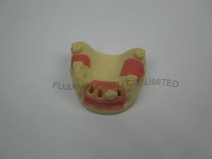 China dental implant material bone graft implant for suturing on sale