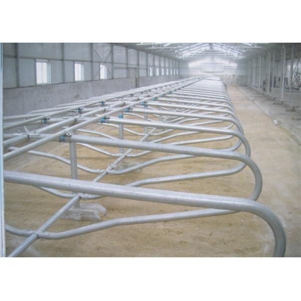 Hot Dip Galvanized Cattle Stall With Bovine Jugular Track , Clamp , Bolt