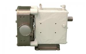 Cheap Two Rotary Lobe Positive Displacement Pump Operating Principle for sale