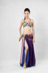 3pcs Elegant Tie Died Chiffon Belly Dance Costume Belly Dance Dresses Stage