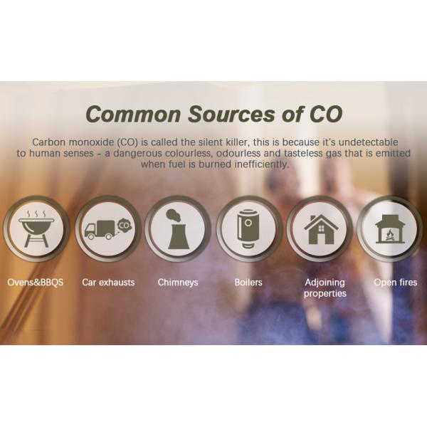 Waterproof Portable Carbon Monoxide Detector Co Alarm For Marine Boat