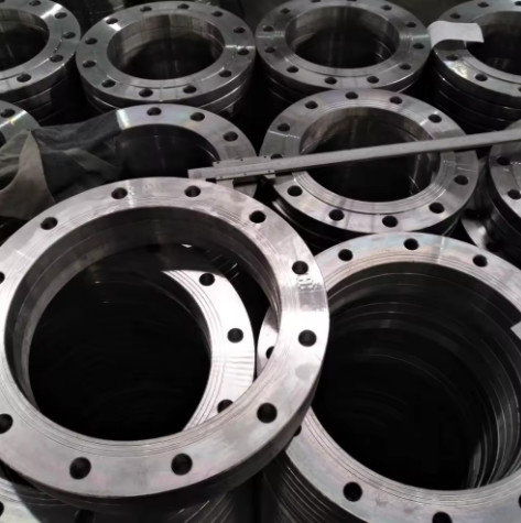 1/2'' to 84inch S235JR Steel Flanges EN10025-2 Forged Flange for Poland