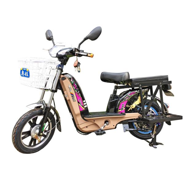 16'' Electric Powered Bikes Drum Brake Power Assisted Bicycle With Tubeless Vacuum Tires