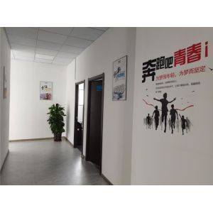 Shanghai Papa Industrial Co.,LTD