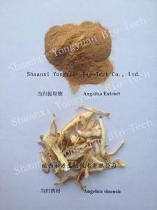 Cheap Dong Quai Extract, Ligustilide1%,CAS : 4431-01-0, Lovage Extract, Traditional Chinese herb Extract, Manufacture export for sale