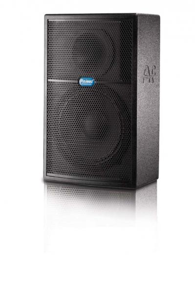 Quality 10''neo Woofer 300W 55Hz - 19KHz 310*310*500mm 8ohm stage church audio Speaker Equipment wholesale