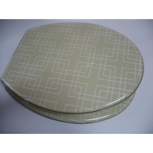 resin toilet seat,17'18'19'Uropean standard,USA stardard,Mosaic picture