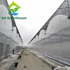 Buy cheap ODM Transparent Polycarbonate Plastic Film Greenhouse Side Top Ventilation Greenhouse from wholesalers