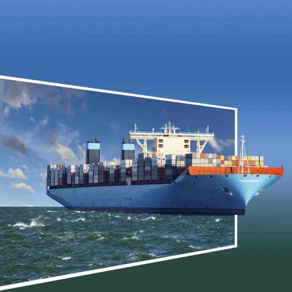 FOB Trading Term Sea Freight Full Container 20FT 40HC from to Belgium Brussels Antwerp Zeebrugge with Freight Forwarder