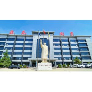 Henan Yongsheng Aluminum Industry Co.,Ltd.