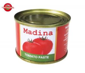 Cheap 70g Canned Tomato Paste for sale