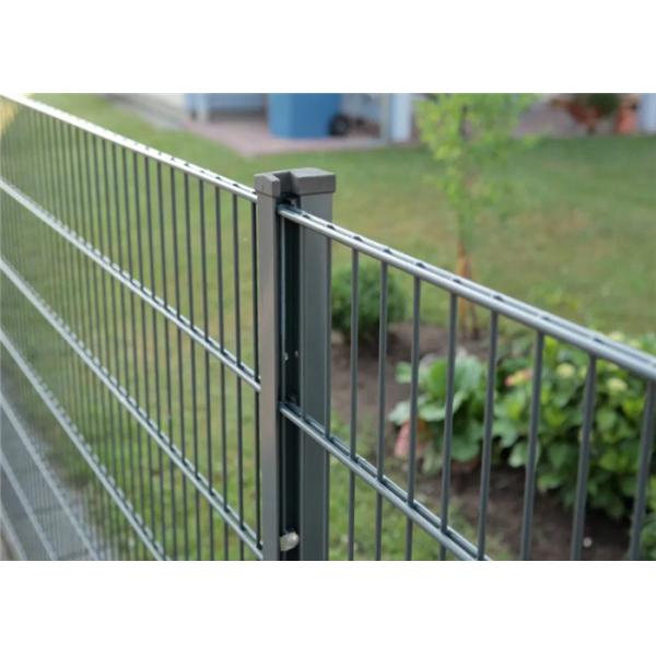 Powder Coated Twin Wire Mesh Fencing Manufactory And Welded Wire Fence