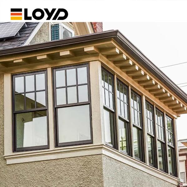 Double Single Hung Window with 5+18A+5mm Tempered Glass and Aluminium Frame