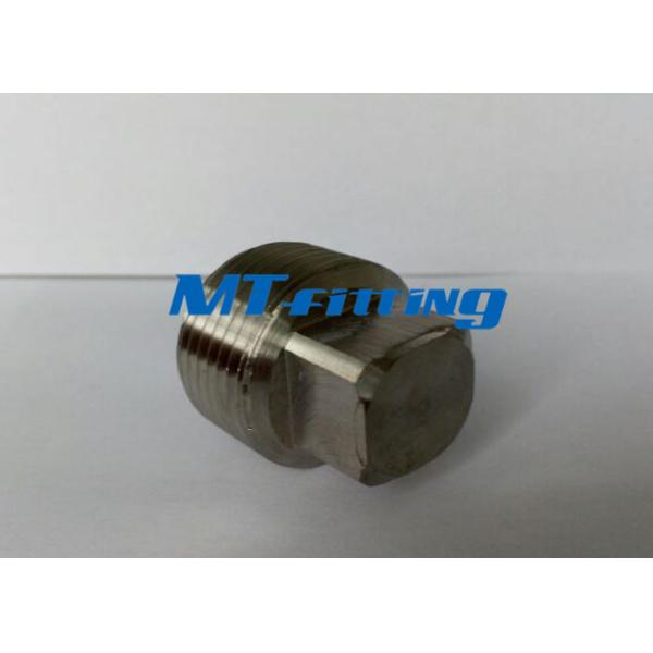 ASTM A105 F304H / 316H  Round / Hex / Square Stainless Steel Head Plug