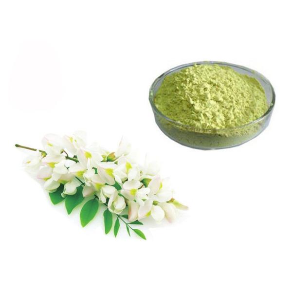 95% 98% Pure Rutin Powder Flower Bud Part Sophora Japonica Extract