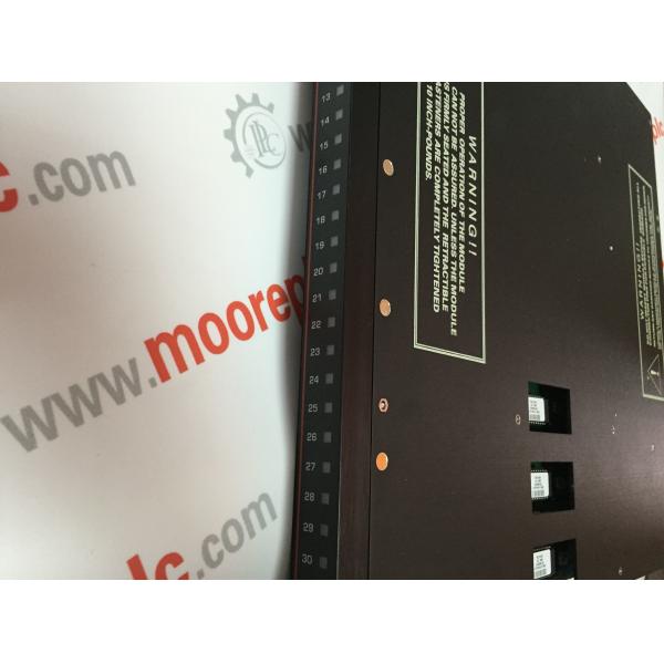 Triconex DCS Module 9753-110  1700X600 100PLINTH+1200EQUIP+400ROOF High reliability