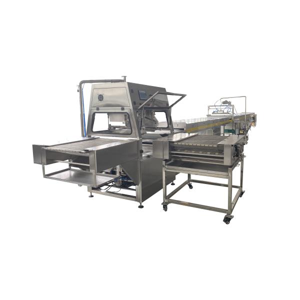 Industrial Chocolate Coating Machine For Cookies
